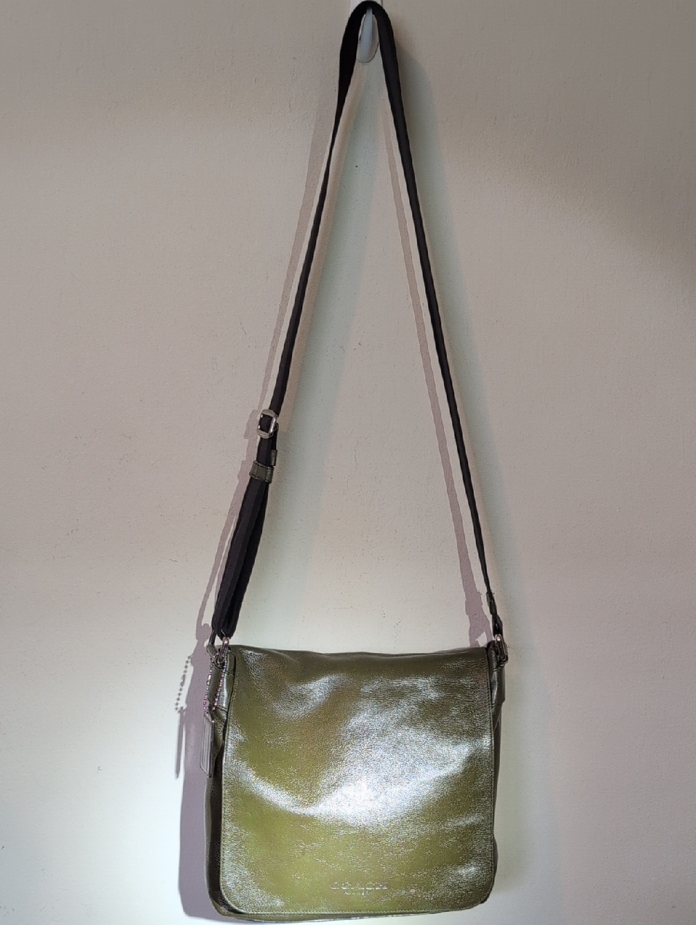 Metallic Olive Green Crossbody Bag - Women's Shoulder Bag